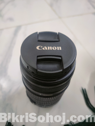 Canon 55-250mm EFS Lens